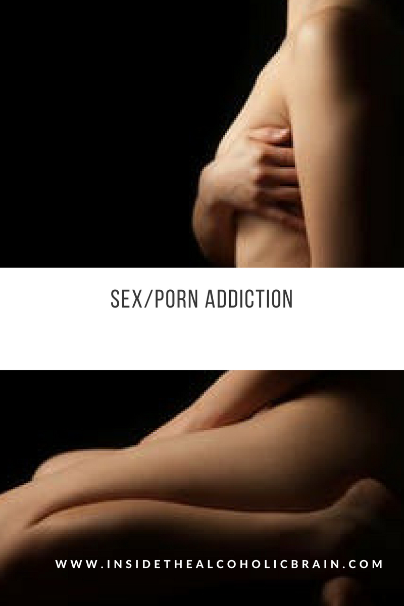 Porn Addiction Porn - SEX/PORN Addiction â€“ Inside The Alcoholic Brain